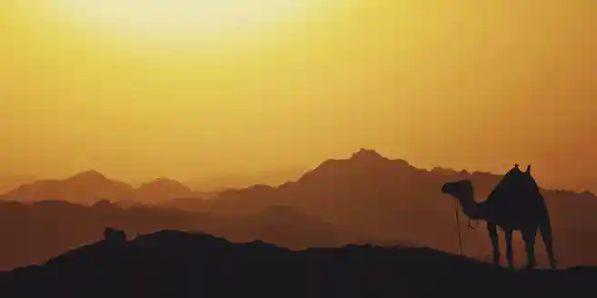 Middle East